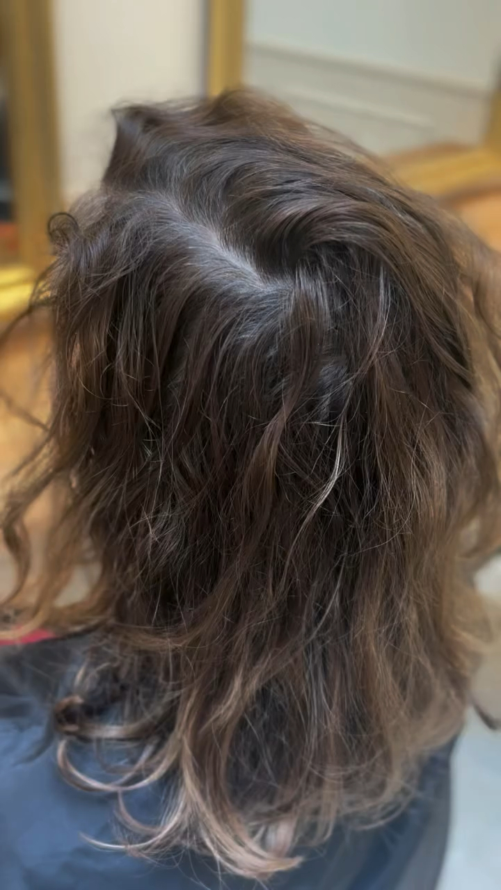 Vidéo Coloration tête entière + brushing / séchage chez Ophelyat Coiffure coloriste